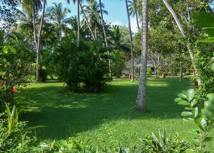 Eva Lanka Hotel - Beach&Wellness