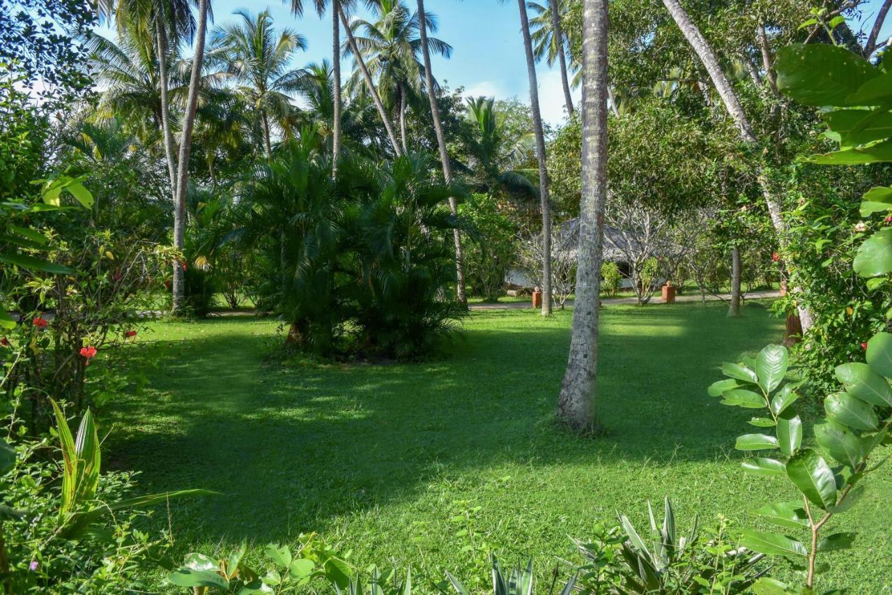 Eva Lanka - Beach&wellness Hotel Tangalle