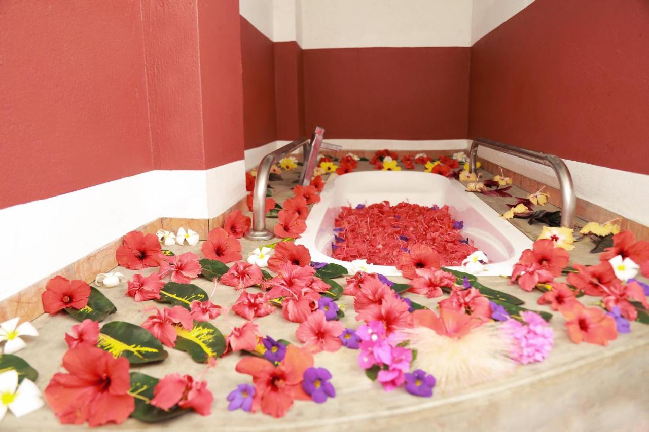 Eva Lanka - Beach&wellness